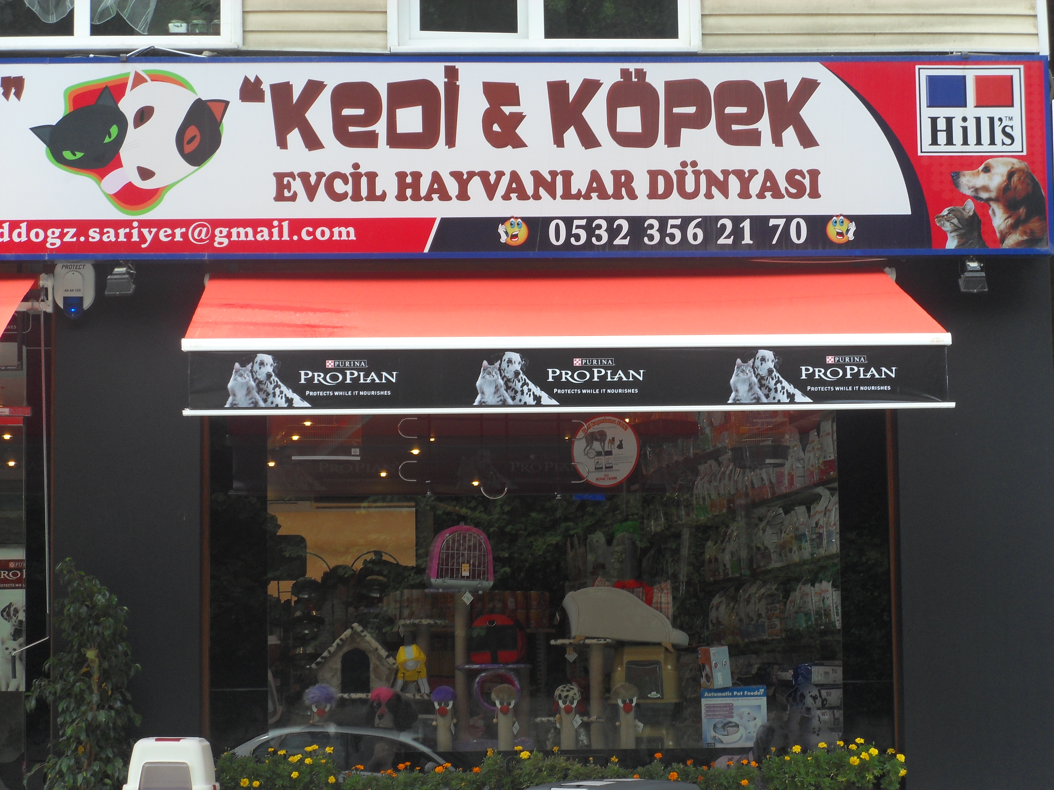 MAFSALLI TENTE
